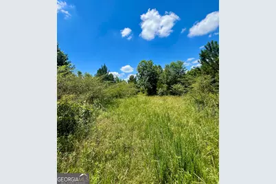 451 Two Rock Road, Waco, GA 30182 - Photo 36