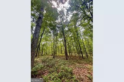 451 Two Rock Road, Waco, GA 30182 - Photo 20