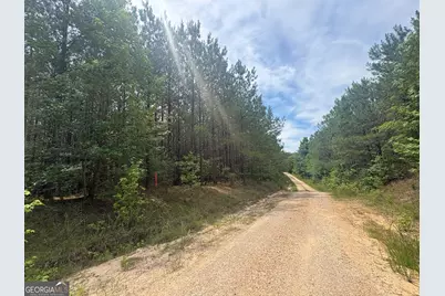 4 Callaway Road, Tignall, GA 30668 - Photo 2