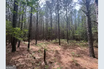 4 Callaway Road, Tignall, GA 30668 - Photo 14