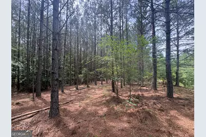 4 Callaway Road, Tignall, GA 30668 - Photo 6