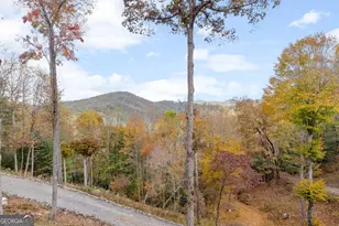 247 Toccoa Overlook Drive, Blue Ridge, GA 30513 - Photo 40
