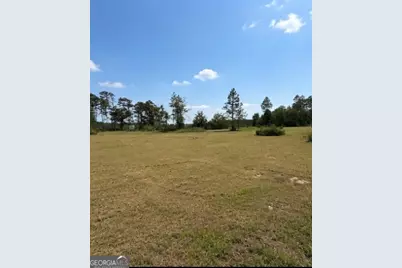 1087 Green Morgan School Rd, Clyo, GA 31303 - Photo 12