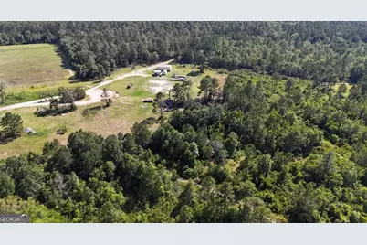 1087 Green Morgan School Rd, Clyo, GA 31303 - Photo 8