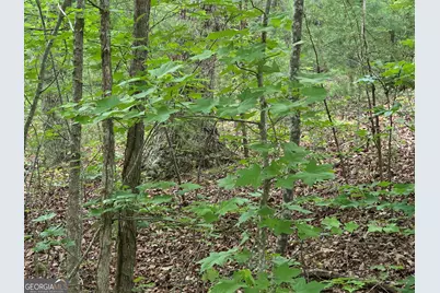 2 Lots Oak Forest, Clarkesville, GA 30523 - Photo 2