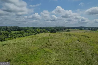 20 Acres Sthighway 365, Mount Airy, GA 30563 - Photo 18