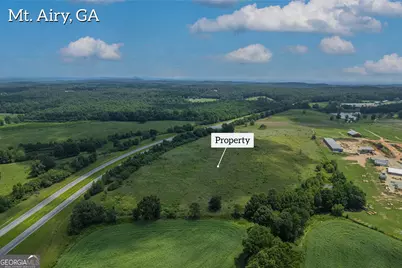 20 Acres Sthighway 365, Mount Airy, GA 30563 - Photo 8