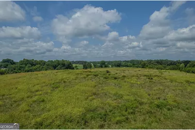 20 Acres Sthighway 365, Mount Airy, GA 30563 - Photo 16