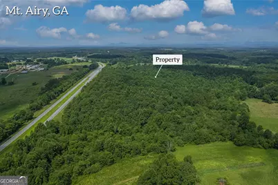 127 Acres Hwy 3 Sthighway 365, Mount Airy, GA 30563 - Photo 8
