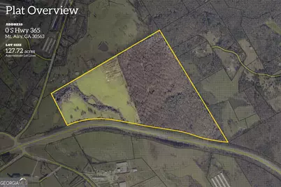 127 Acres Hwy 3 Sthighway 365, Mount Airy, GA 30563 - Photo 1