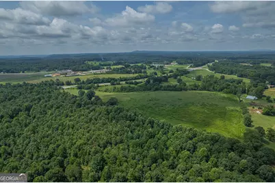 127 Acres Hwy 3 Sthighway 365, Mount Airy, GA 30563 - Photo 6