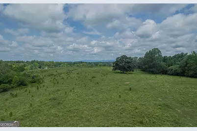 127 Acres Hwy 3 Sthighway 365, Mount Airy, GA 30563 - Photo 18