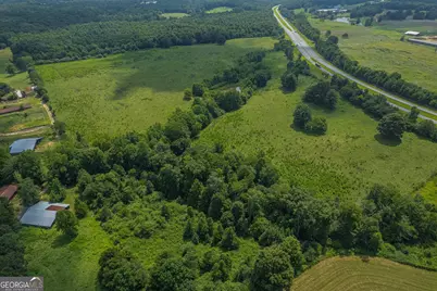 127 Acres Hwy 3 Sthighway 365, Mount Airy, GA 30563 - Photo 14