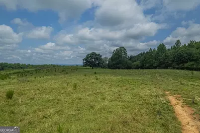 127 Acres Hwy 3 Sthighway 365, Mount Airy, GA 30563 - Photo 16