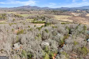 425 Enchanted Woods Dr, Blairsville, GA 30512 - Photo 50