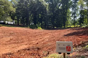 176 Montego Bay Trl, Clarkesville, GA 30523 - Photo 4