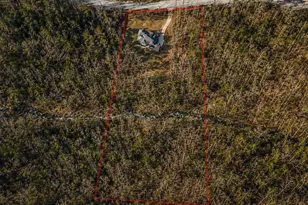 685 Rockwood Trl, Blairsville, GA 30512 - Photo 80
