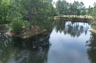 342 Lower Rebecca Rd, Fitzgerald, GA 31750 - Photo 48