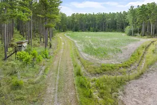 13320 Sunbury Rd, Claxton, GA 30417 - Photo 8