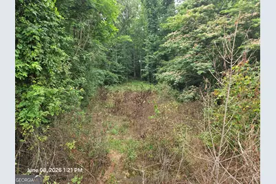 0 Davis Road, Macon, GA 31217 - Photo 2