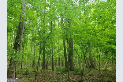 0 Fincherville Rd TRACT #2, Jackson, GA 30233 - Photo 1
