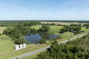 3349 Scotland Rd, Alamo, GA 30411 - Photo 56