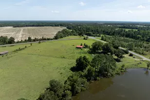 3349 Scotland Rd, Alamo, GA 30411 - Photo 70