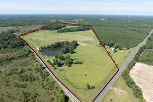 3349 Scotland Rd, Alamo, GA 30411 - Photo 2