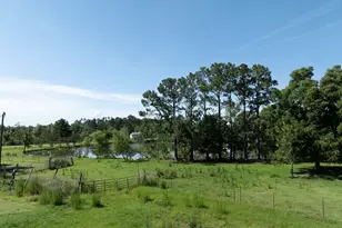 3349 Scotland Rd, Alamo, GA 30411 - Photo 64