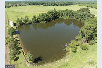 3349 Scotland Road, Alamo, GA 30411 - Photo 50
