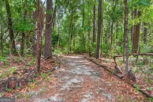 4777 Belfast River Rd, Richmond Hill, GA 31324 - Photo 52