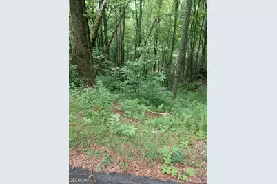 0 Lot 37 Saddleback Circle, Sky Valley, GA 30537 - Photo 6