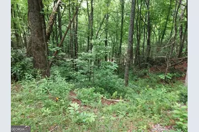 0 Lot 37 Saddleback Circle, Sky Valley, GA 30537 - Photo 2