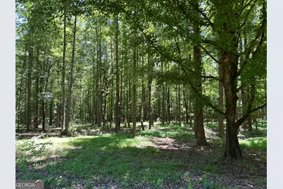 996 Grove Level Road, Maysville, GA 30558 - Photo 6