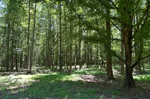 996 Grove Level Rd, Maysville, GA 30558 - Photo 6