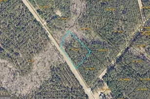 0 Scotland Rd, Dublin, GA 31021 - Photo 1