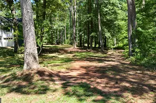235 Steeplechase Dr, McDonough, GA 30252 - Photo 56