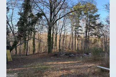 710 Armstrong Mill Road, Franklin, GA 30217 - Photo 18