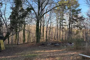 710 Armstrong Mill Rd, Franklin, GA 30217 - Photo 18