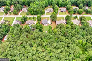 155 Cody Trail, Senoia, GA 30276 - Photo 72