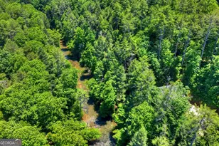510 Gallery Ct, Ellijay, GA 30540 - Photo 4