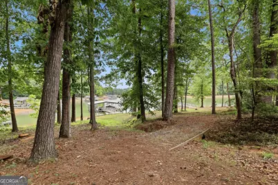 205 Mill Creek Circle, Martin, GA 30557 - Photo 58