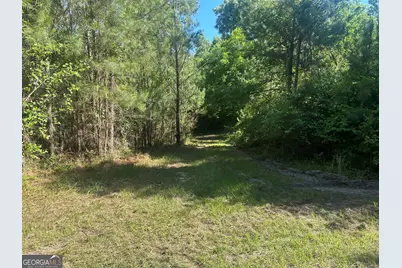 0 Dorsey Clark Road, Sylvania, GA 30467 - Photo 14