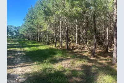 0 Dorsey Clark Road, Sylvania, GA 30467 - Photo 4