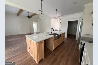 163 W Shore Drive, Ochlocknee, GA 31773 - Photo 10