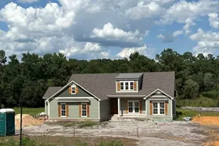 163 W Shore Dr, Ochlocknee, GA 31773 - Photo 2