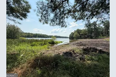 163 W Shore Drive, Ochlocknee, GA 31773 - Photo 26