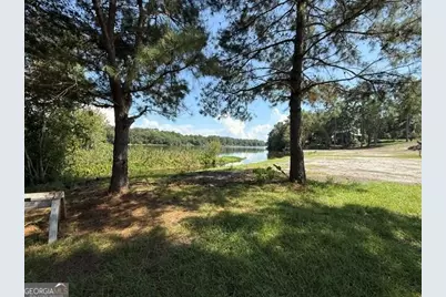 163 W Shore Drive, Ochlocknee, GA 31773 - Photo 44