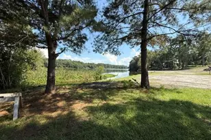 163 W Shore Dr, Ochlocknee, GA 31773 - Photo 44