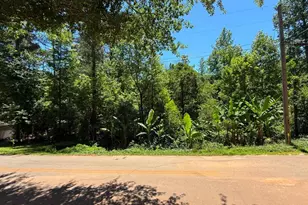 0 Lakeshore Rd, Martin, GA 30557 - Photo 1